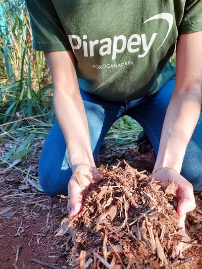 Pirapey y su cuidado integral del ambiente - Empresariales - ABC Color