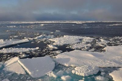 El hielo ártico se derrite dos veces más rápido de lo previsto, según un estudio británico - Ciencia - ABC Color