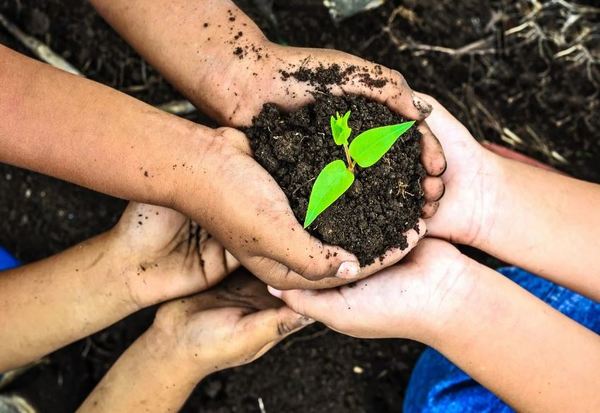 Día Mundial del Medio Ambiente: salud y ecosistemas van de la mano
