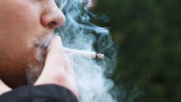 La nicotina es más adictiva que la cocaína y heroína – Prensa 5