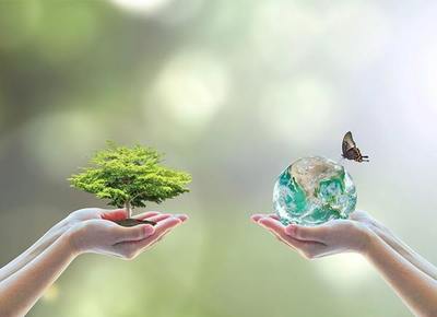 Hoy se celebra el Día Mundial del Medio Ambiente | Ñanduti