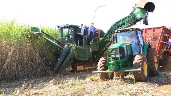 Pago a cañicultores se redujo y hay menos cultivos