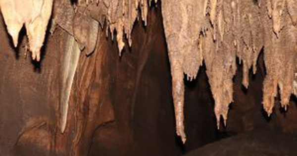 La Nación / Cavernas de Vallemí y la planta de la INC serían candidatas a patrimonio mundial de la Unesco