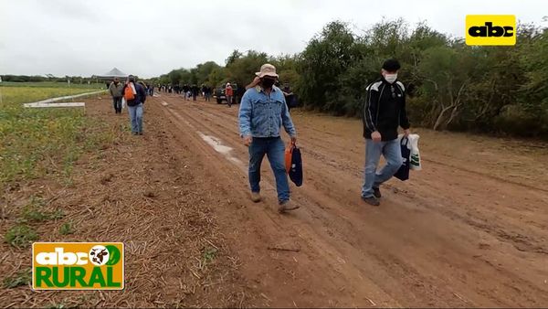 Abc Rural: Semillas Don Mario avanzan en el Chaco Paraguayo - ABC Rural - ABC Color