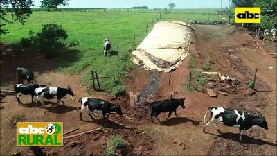 Abc Rural: Historia de un pequeño productor lechero y agrícola - ABC Rural - ABC Color