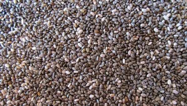 Chía paraguaya optimiza su calidad y Japón resuelve disminuir controles a la exportación