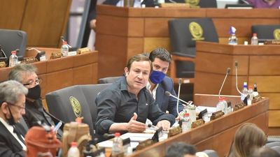 Fue una conspiración entre ANR y PLRA, dice diputado