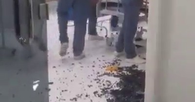 La Nación / Familiar de un paciente fallecido rompió blindex en el Hospital de Villa Elisa