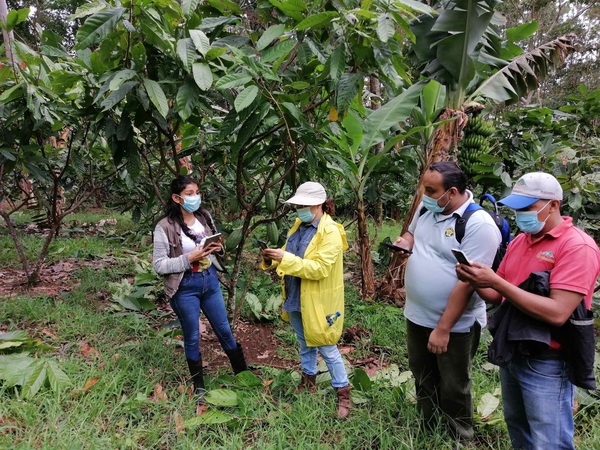 Los productores de cacao modernizan sus técnicas agrícolas en Nicaragua - MarketData
