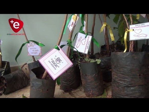 ENTREGAN PLANTINES A CAMBIO DE APORTE VOLUNTARIO PARA GASTOS DE AMBULANCIA