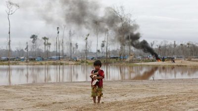 Hallan altos niveles de plomo en la sangre de indígenas de la Amazonía peruana | Ñanduti