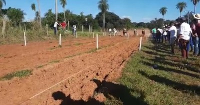 La Nación / Concepción agudizará controles mediante comisión de seguridad, pero sin presupuesto