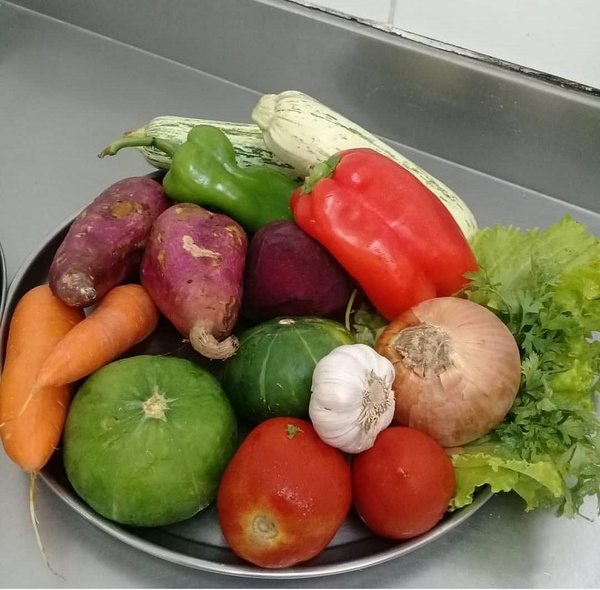 Inocuidad alimentaria para prevenir enfermedades transmitidas por alimentos