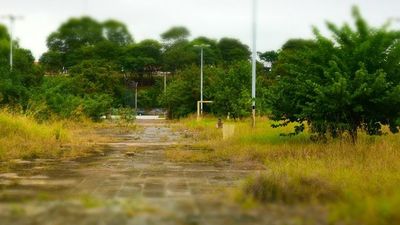 Parque Solidaridad, en el olvido de las autoridades