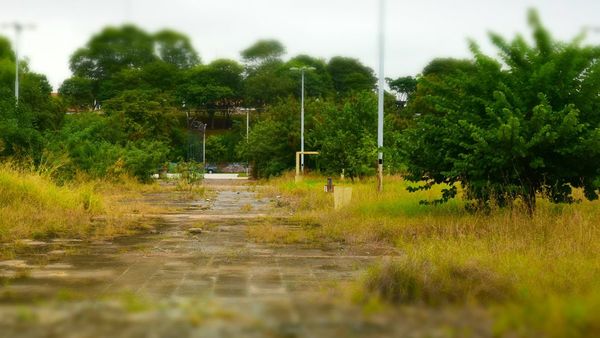 Parque Solidaridad, en el olvido de las autoridades