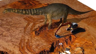 Descubren los restos del dinosaurio más grande de Australia y uno de los de mayor tamaño del mundo | Ñanduti