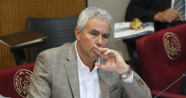 La Nación / Zavala es el opositor con más chances de presidir el Congreso, afirma Bacchetta