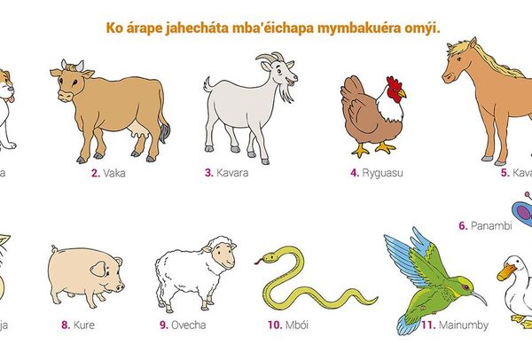 Mymbakuéra mýi - Escolar - ABC Color