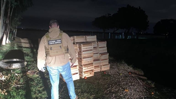 Diario HOY | Decomisan 300 cajas de tomate de contrabando en Remansito