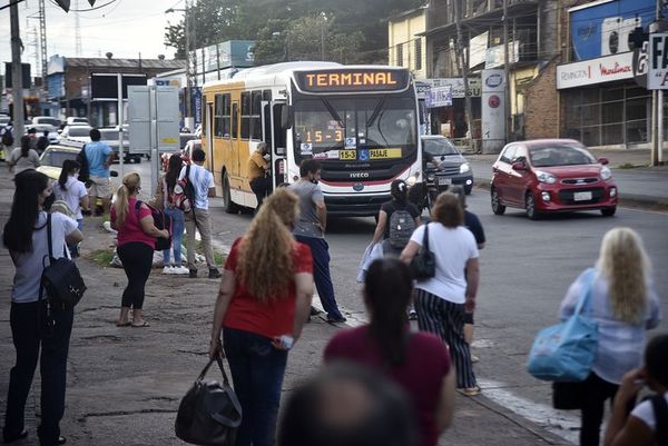 Anuncian un paro del transporte público desde el lunes 14 de junio - Nacionales - ABC Color