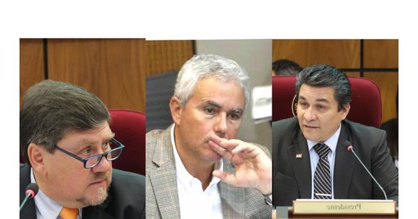 La Nación / Manejan 13 votos para Llano, Lanzoni o Zavala