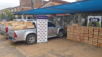 Seis mil kilos de tomate ilegal fueron incautados por el COIA