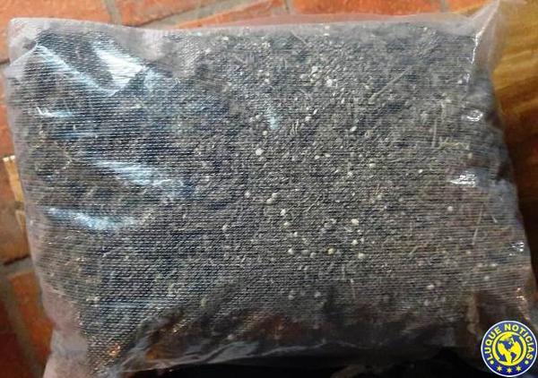 Arrojan marihuana al patio de la Penitenciaria La Esperanza •