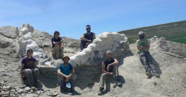 Hallazgo histórico: Encuentran columna vertebral de más de cinco metros de un dinosaurio gigante en España - SNT