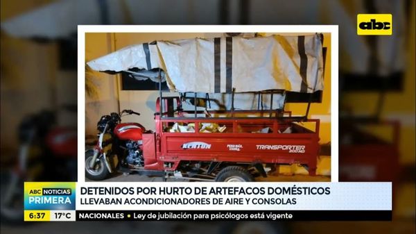 Detenidos por hurto de artefactos domésticos - ABC Noticias - ABC Color
