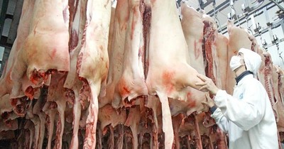 La Nación / Ingresos del complejo porcino aumentaron 30% hasta mayo