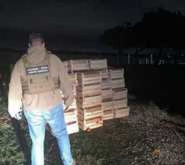 Incautan más de 7.000 kilos de tomate de presunto contrabando - Paraguay.com