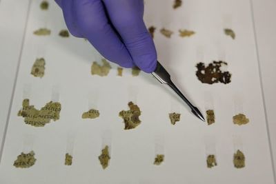 Israel desvela un manuscrito bíblico de 2.000 años de antigüedad - Mundo - ABC Color
