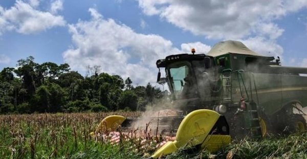 Aguda sequía amenaza producción energética y la agricultura en Brasil | OnLivePy