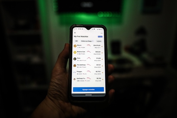 Experto teme que legalizar el bitcóin lleve a El Salvador a un paraíso fiscal - MarketData
