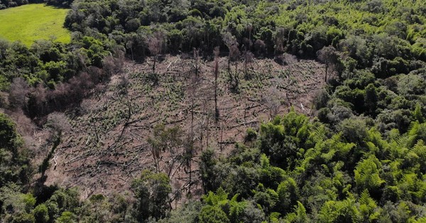 La Nación / Urgen intervención del Estado ante masiva destrucción de reserva San Rafael