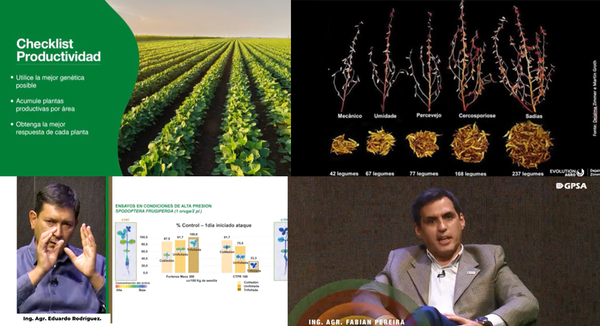 Syngenta lanza “Fortenza Maxx”