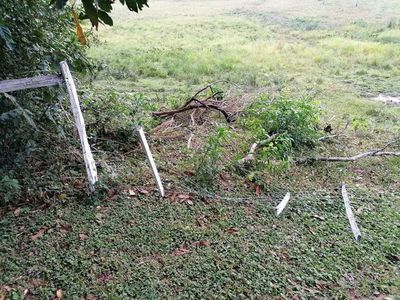 Denuncian vandalismo en la estancia del diputado Pastor Soria - Nacionales - ABC Color