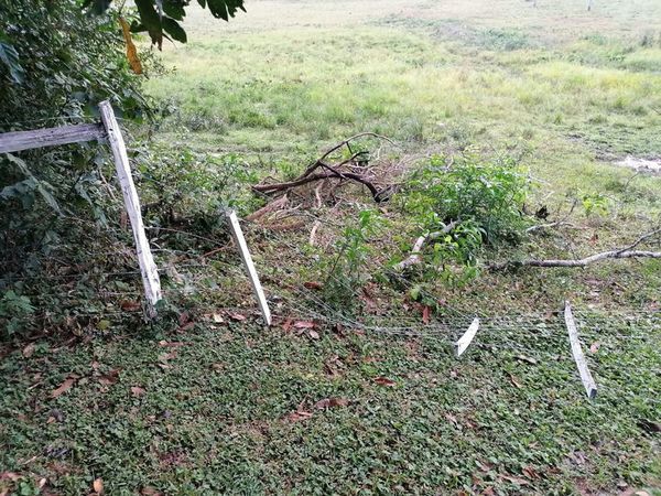 Denuncian vandalismo en la estancia del diputado Pastor Soria - Nacionales - ABC Color