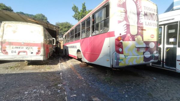 Viceministerio establece servicio mínimo y multas a transportistas