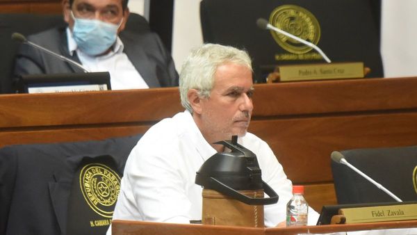 Llueven pedidos de mediación del Senado por conflictos de tierras