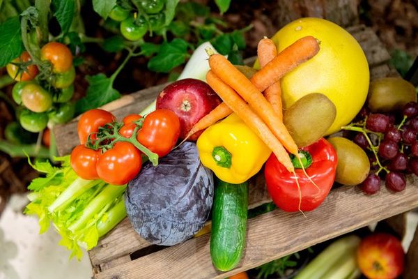 ¿Qué alimentos son antiinflamatorios? - Estilo de vida - ABC Color