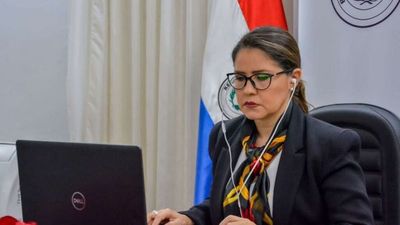 Debaten sobre la transparencia en seminario virtual