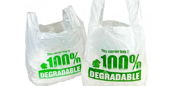Empresa paraguaya producirá bolsas biodegradables a partir de mandioca