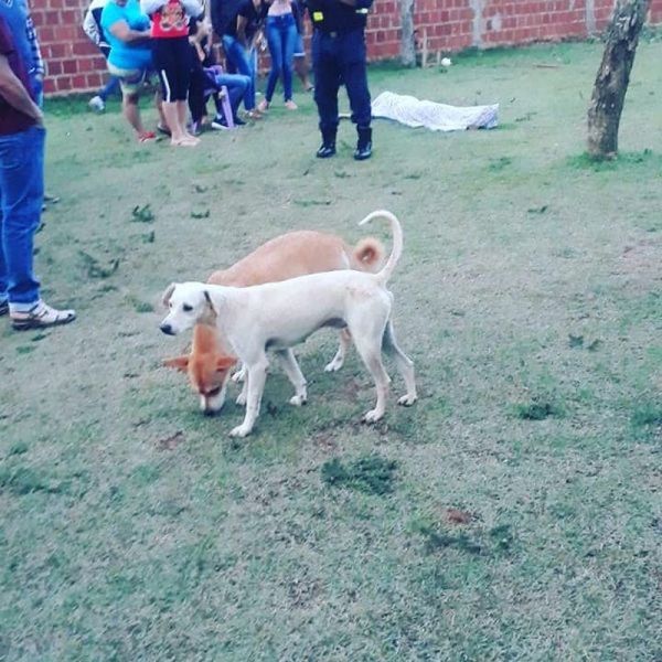 Juego de billar termina con dos muertos y un herido tras balacera