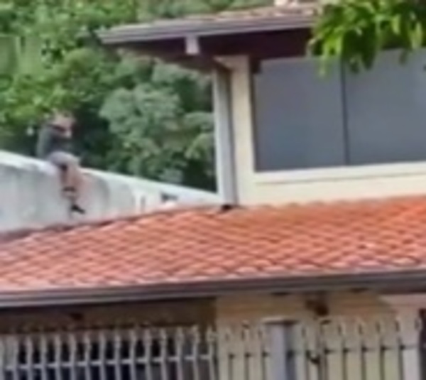 Intentaron escapar de la Policía trepando casas - Paraguay.com