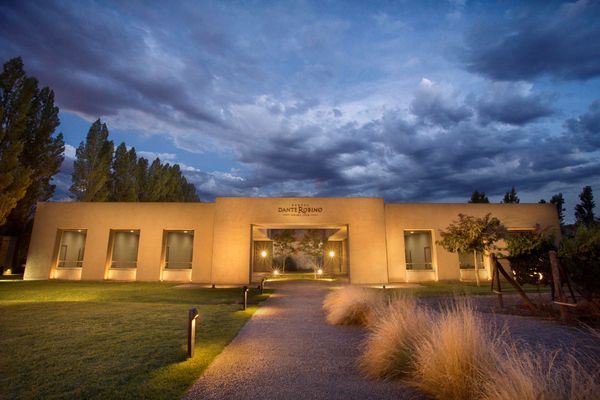 Cervepar desembarca en el negocio de los vinos con las etiquetas de la Bodega Dante Robino