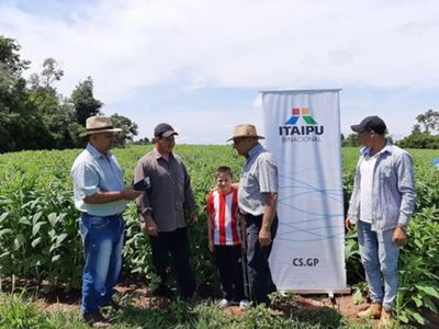 Denuncian que el MAG busca modificar proyecto de agricultura familiar para beneficiar a políticos - Nacionales - ABC Color