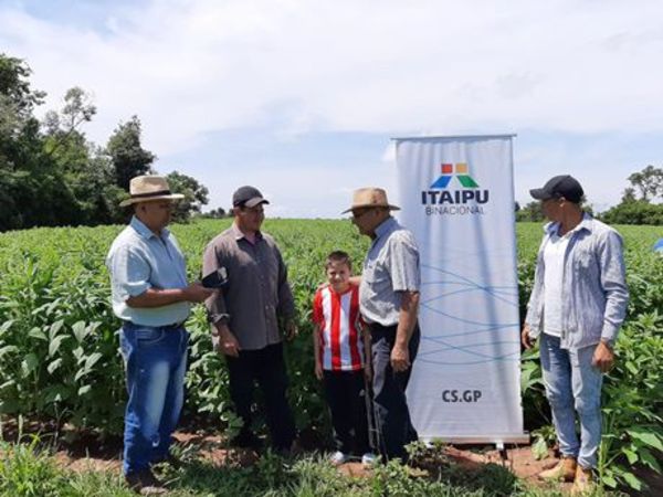 Denuncian que el MAG busca modificar proyecto de agricultura familiar para beneficiar a políticos - Nacionales - ABC Color