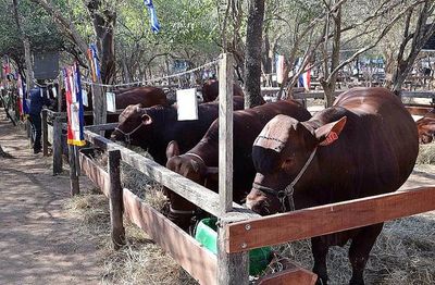 Segundo año sin Expo Trebol - Nacionales - ABC Color
