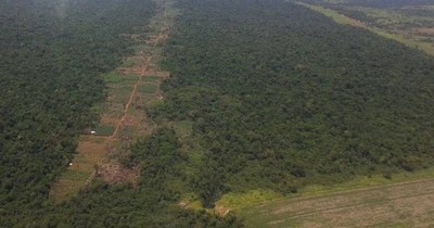 La Nación / ARP condena ataques de invasores a estancias de sus asociados